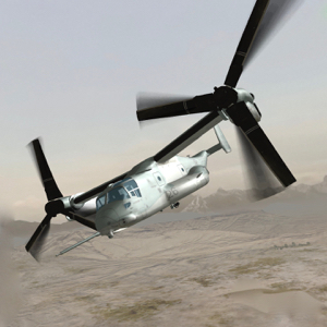 Osprey flying over desert
